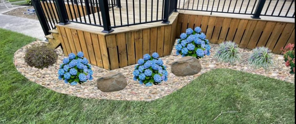 Design of a new landscape in West Chester, OH, with flowers and rock.