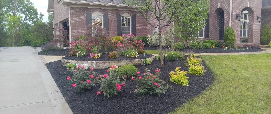 Home in Loveland Park, OH, with new front landscaping.