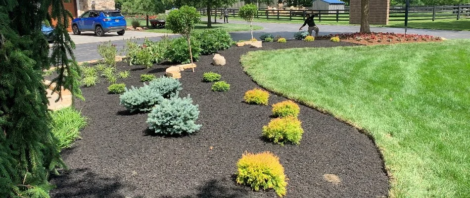 Mulch installed with plantings trimming in a landscape bed in Liberty Township, OH.