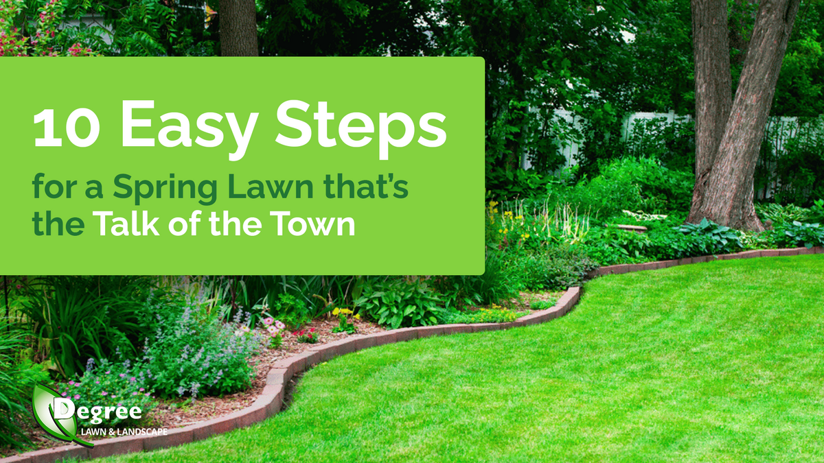 Ten Easy Steps for a Spring Lawn that’s the Talk of the Town 