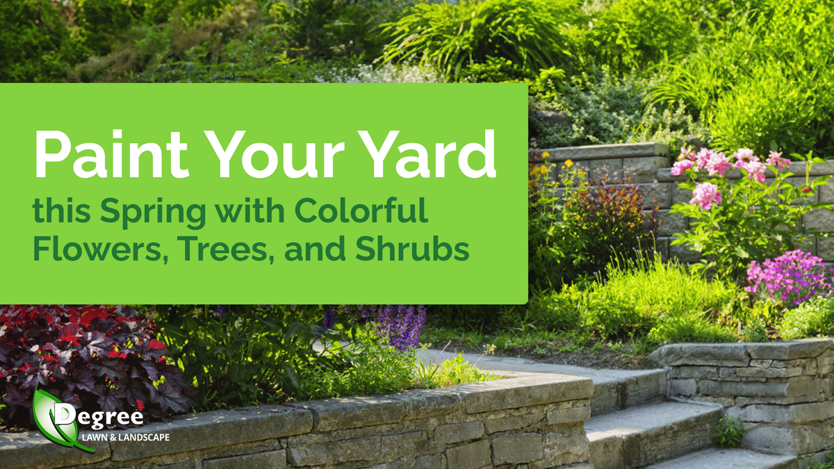 Paint Your Yard this Spring with Colorful Flowers, Trees, and Shrubs