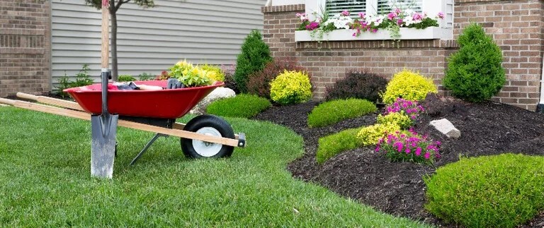 Wheel borrow with shovel and flower next to garden bed