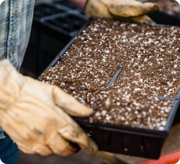 Tray of soil & fertilizer