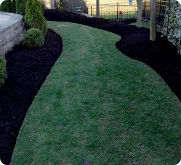 Yard with mulch edging