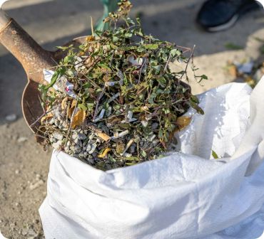 Sticks and leaves being put into trash bag