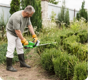 Man trimming shrubs